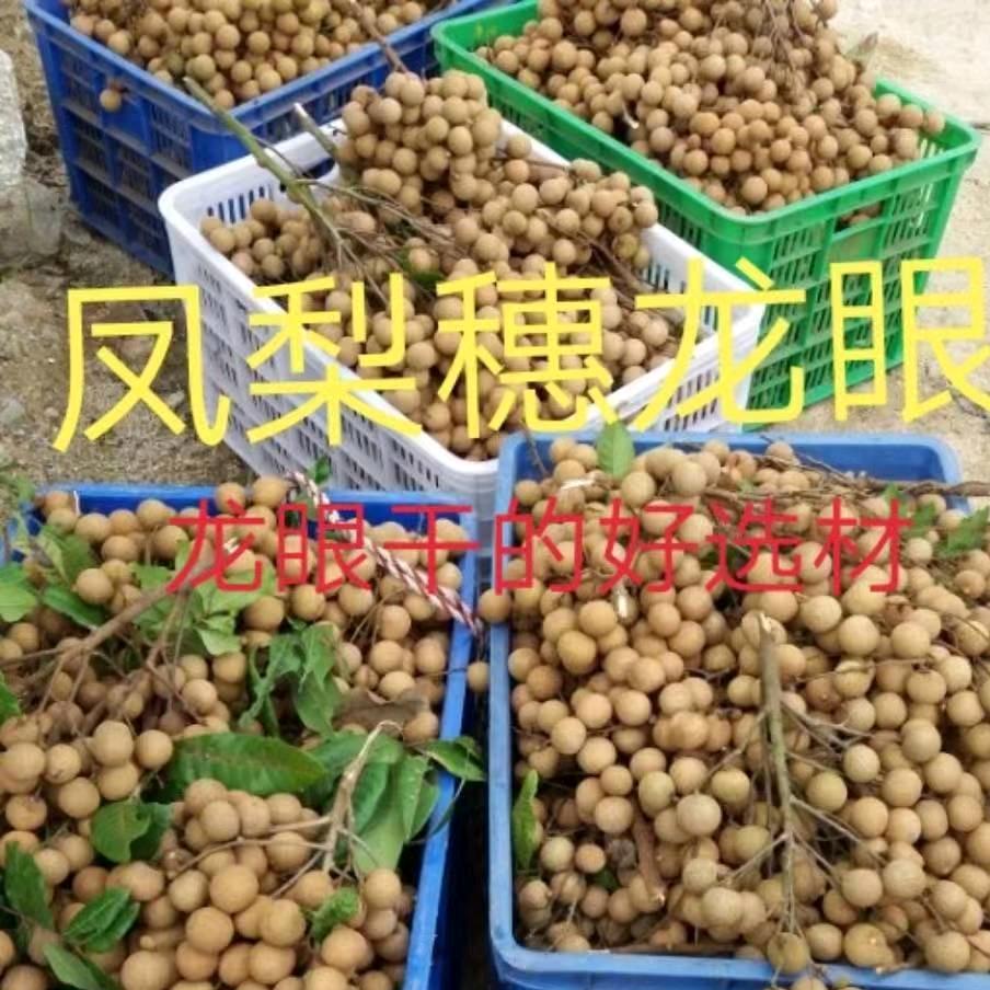 飞哥，同安凤梨穗龙眼干，荔枝干等一村一品
