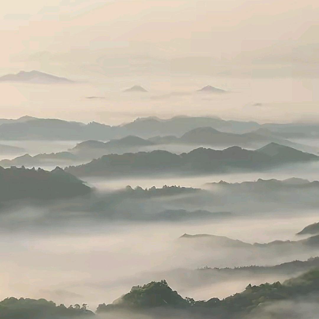 振
