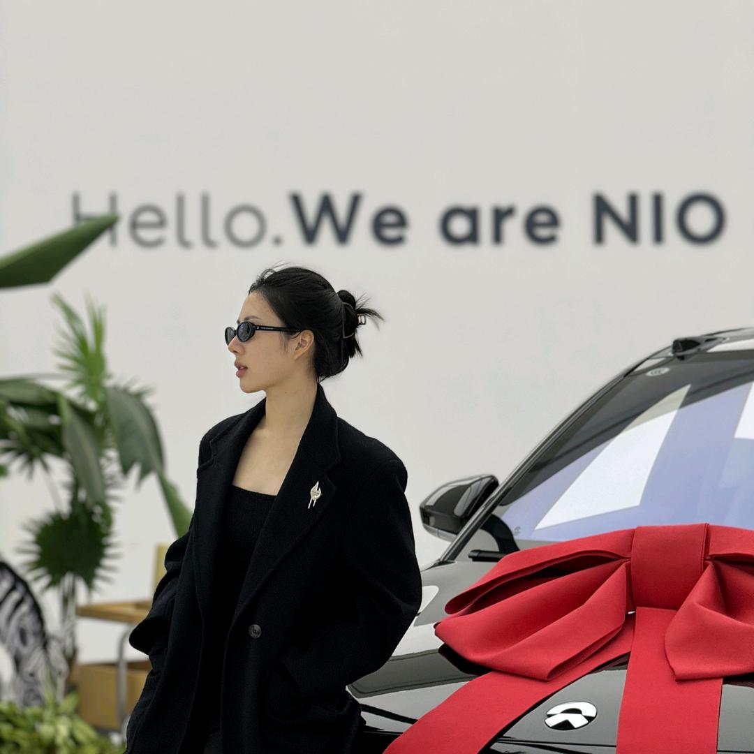 蔚来小狗领航员