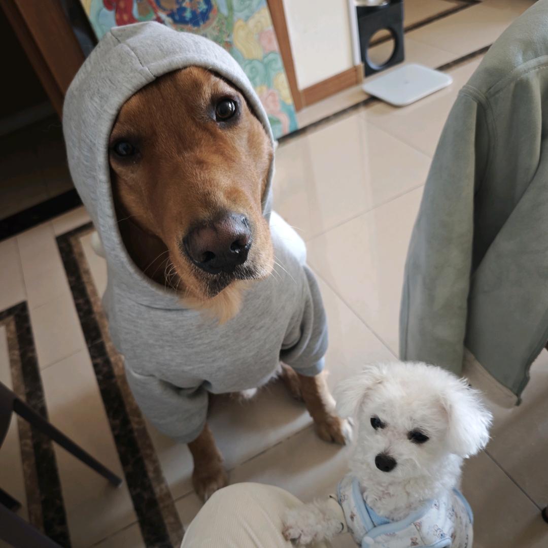 星涛绘画工作室