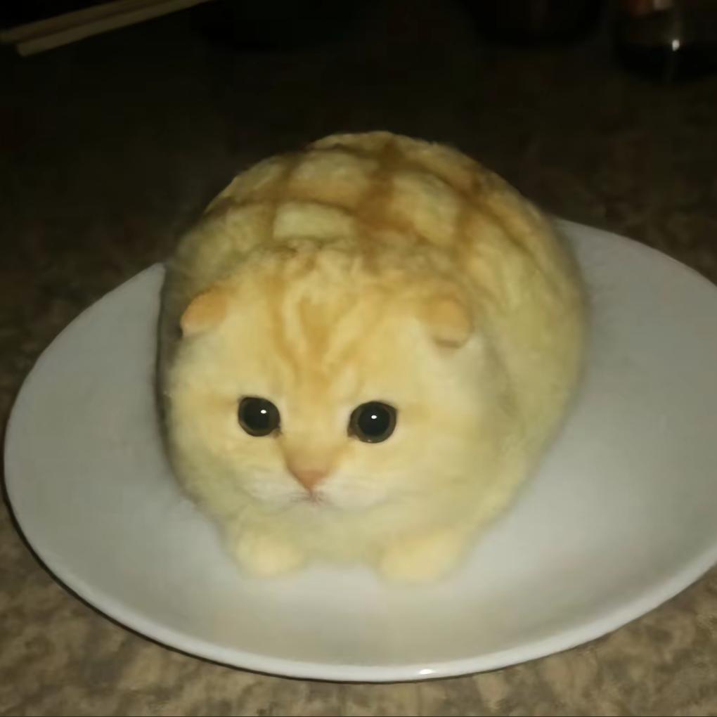 白及.