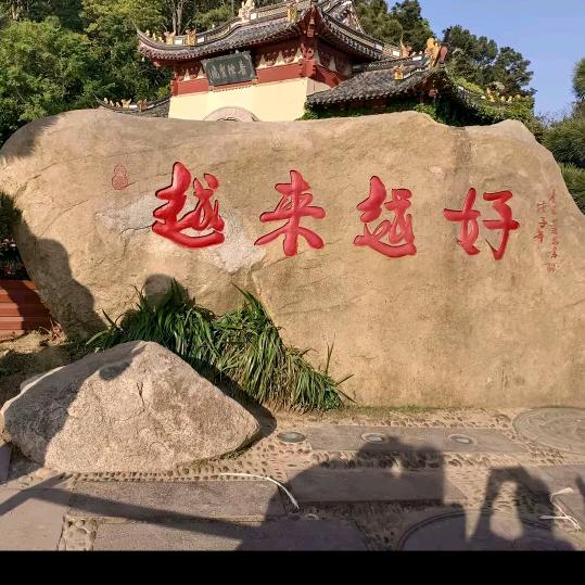 时来运转