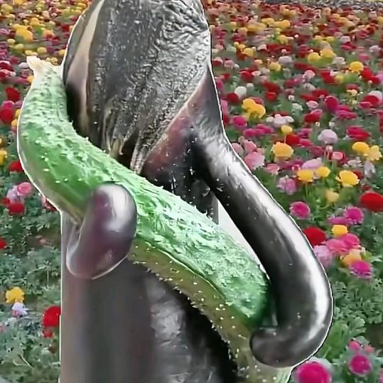 花落无言