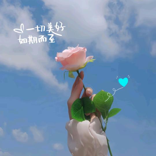 姚姐