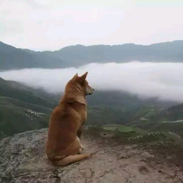 大中华的小团山