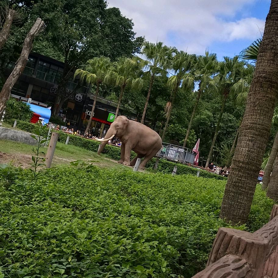 吃得苦中苦，方为人上人(吴三姐)