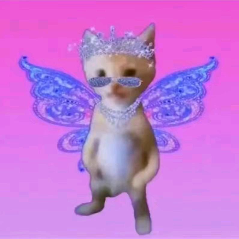 猫meme音乐