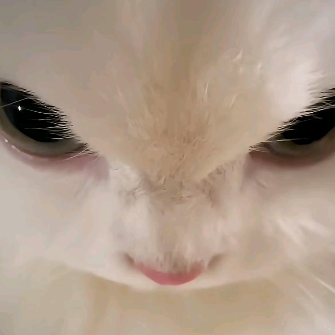 玖弦.🌠⁰²⁴⁵