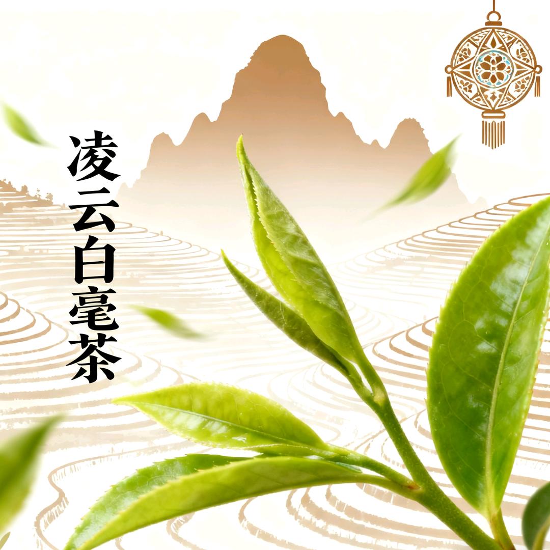 寻香凌云茶