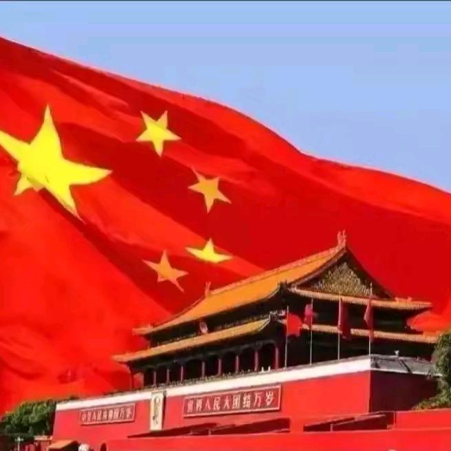 历史记实档案