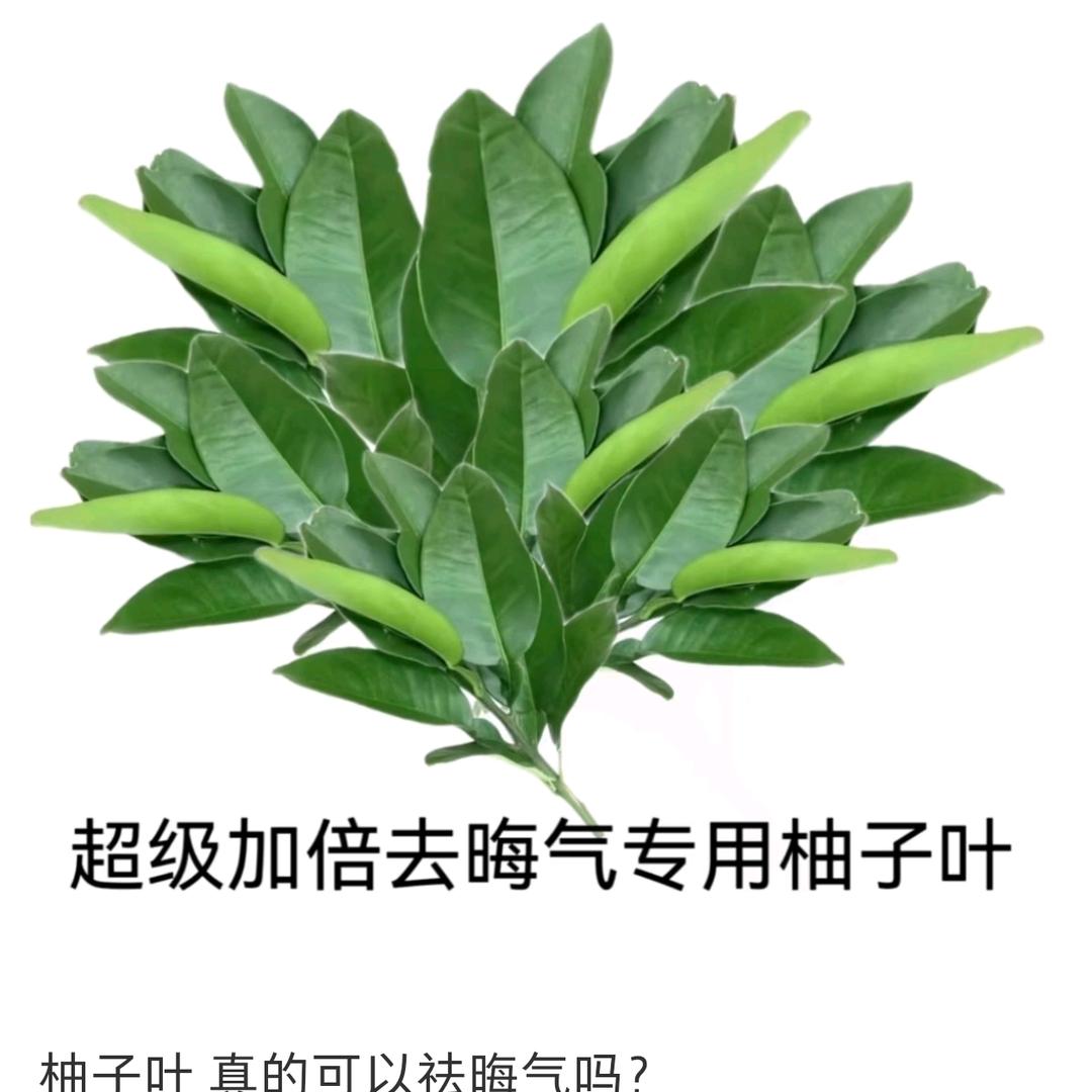 财神大王👑欧气满满