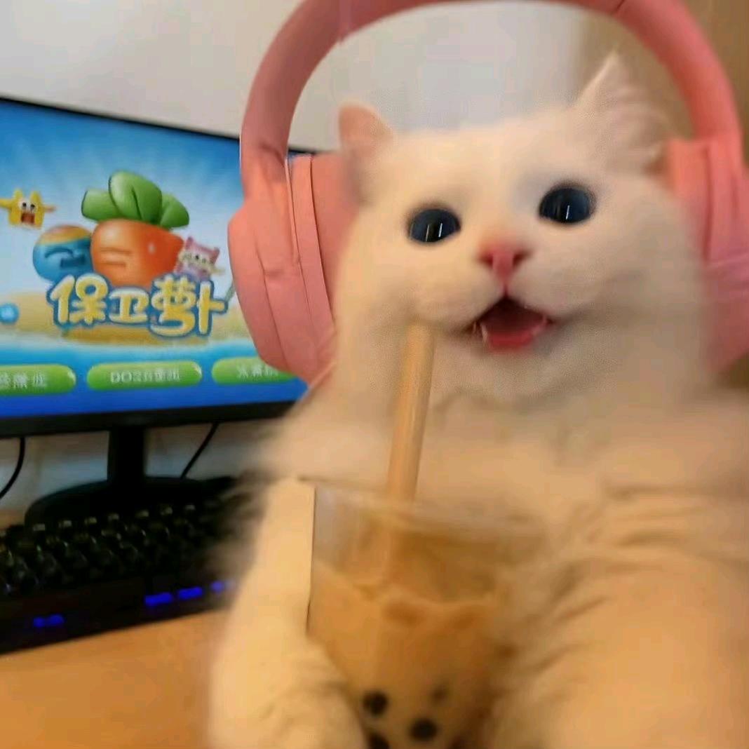 诗遇