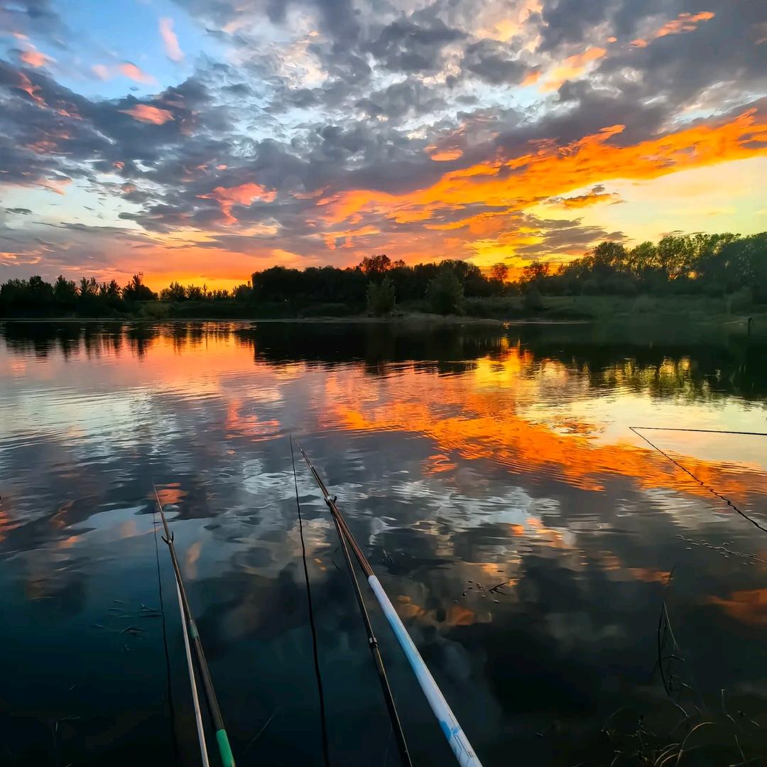 先天钓麦穗圣体