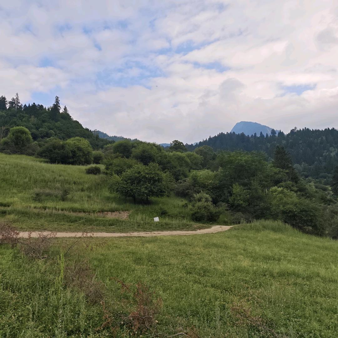 🐟自强不息🍀