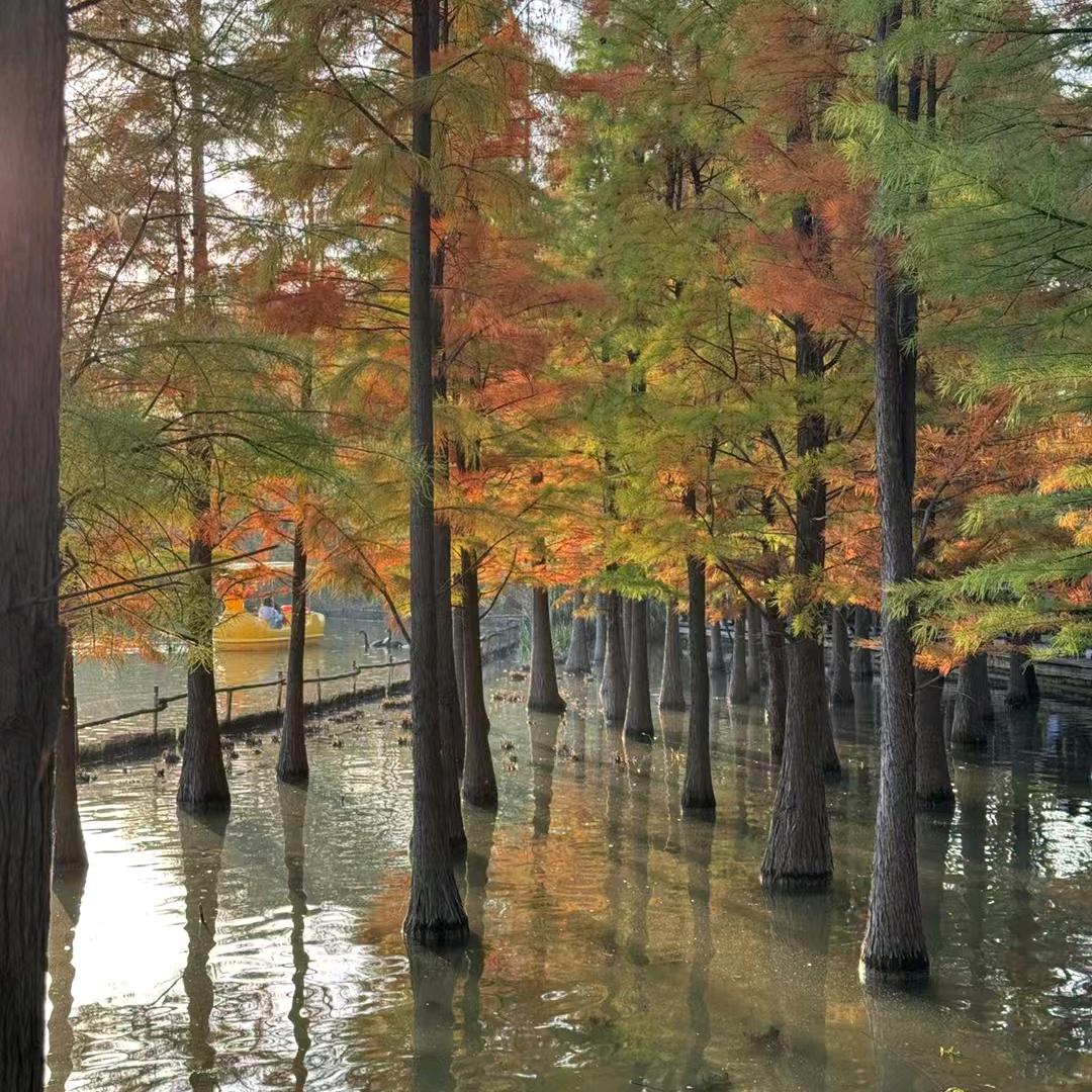 正洛折弯段厂长