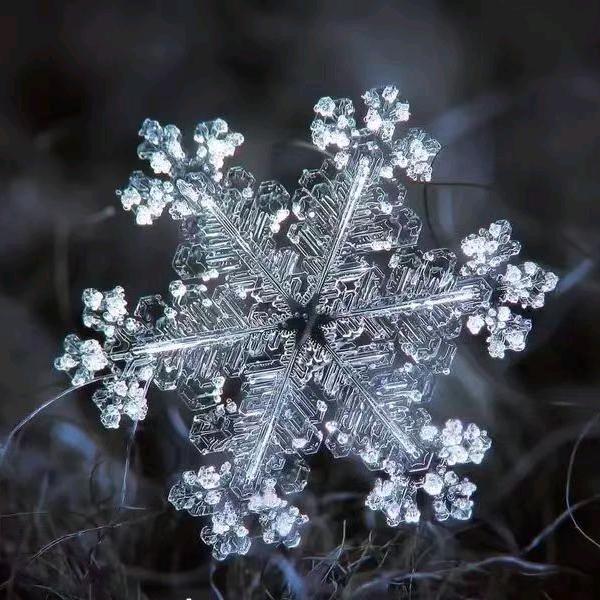 ✈️雪花❄