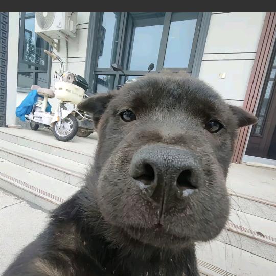 强者从不抱怨环境