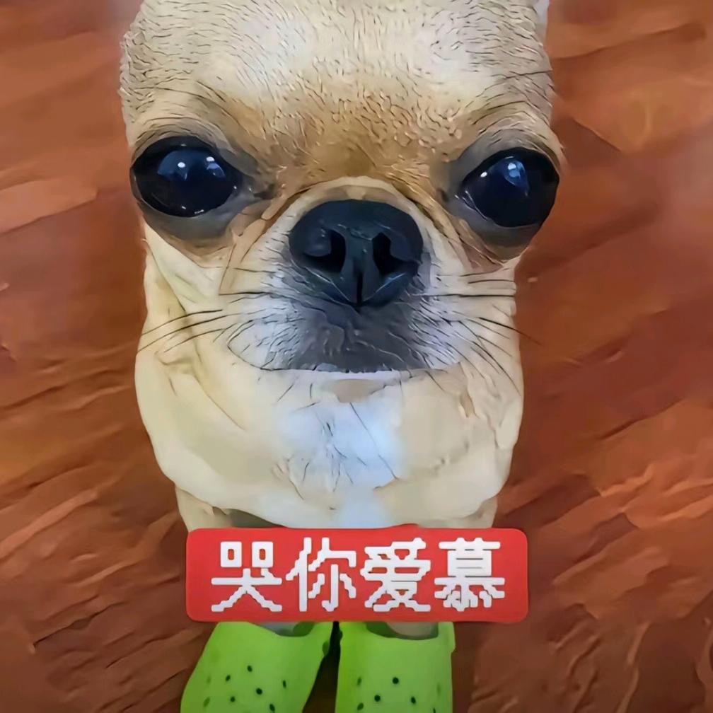 循环的圆不循环的缘