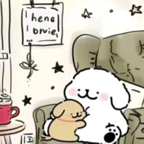 小白和小鸡毛🐶