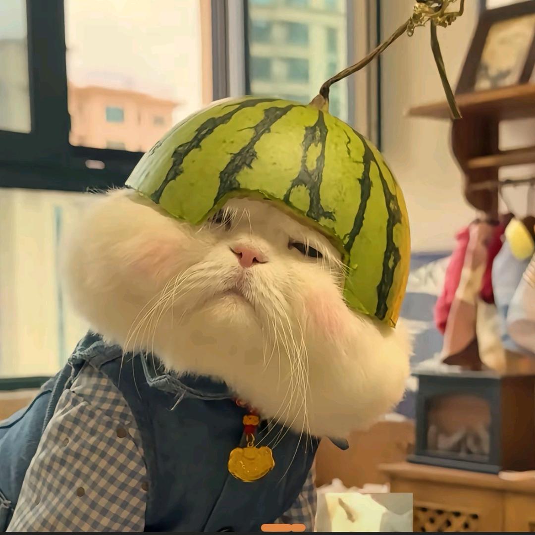 ── 展开999条回复 ⌵