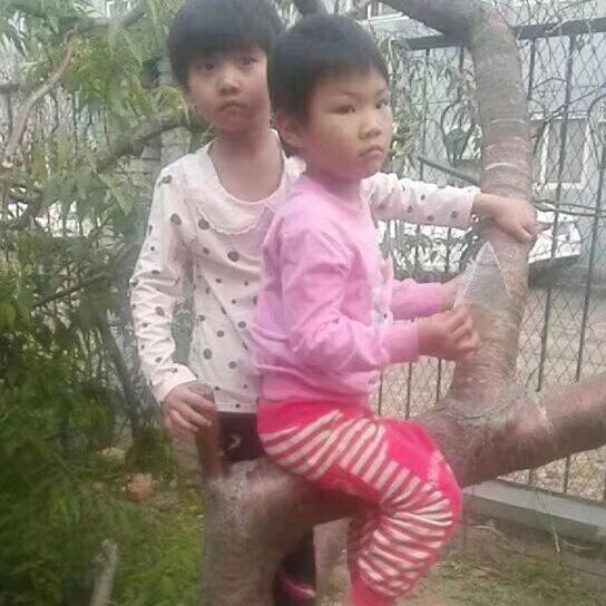 双子之星