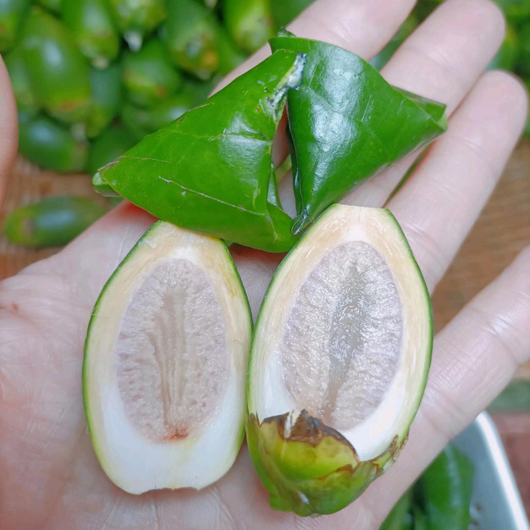 @在萍乡🌴🌴海南生槟榔