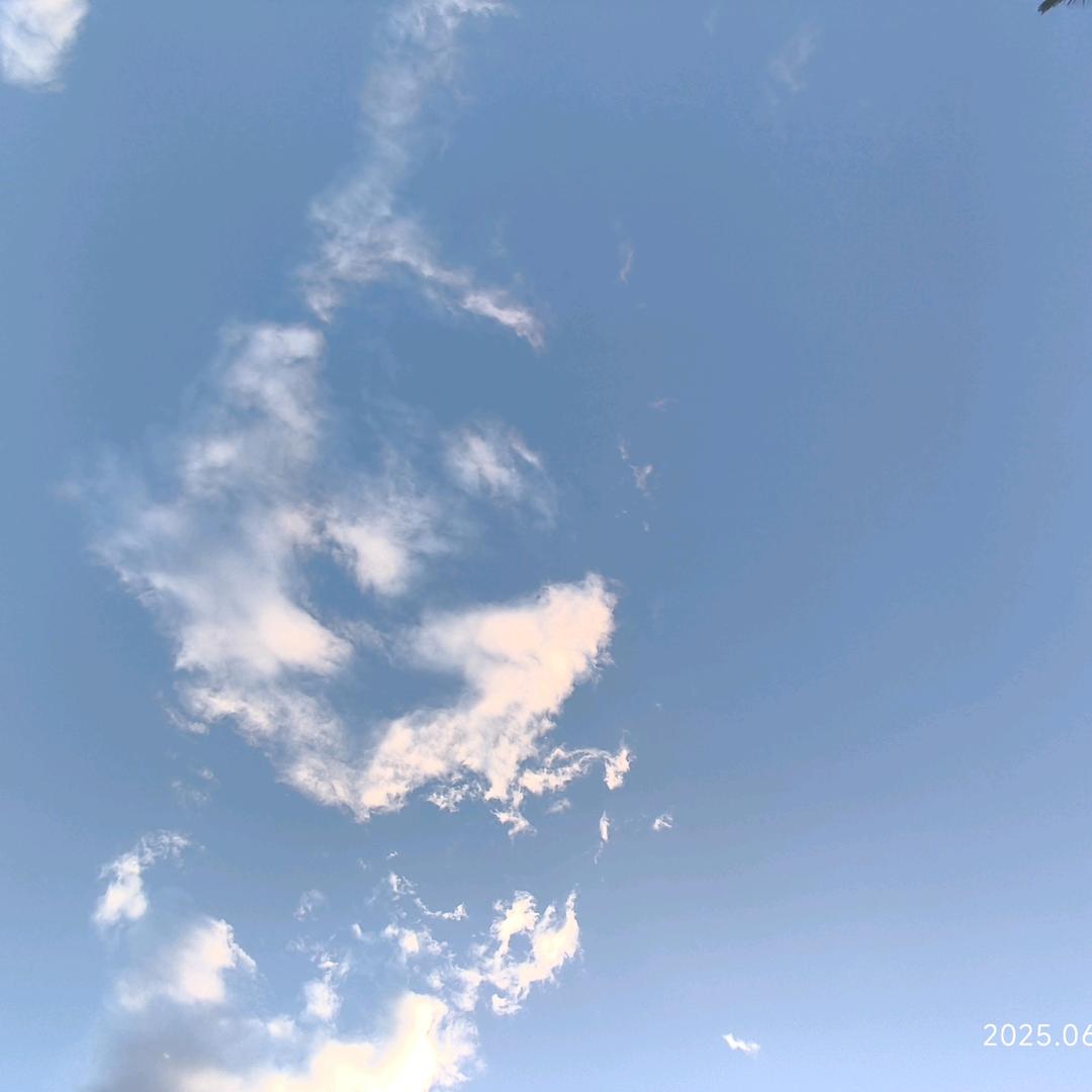 猪肉焖子大锅菜