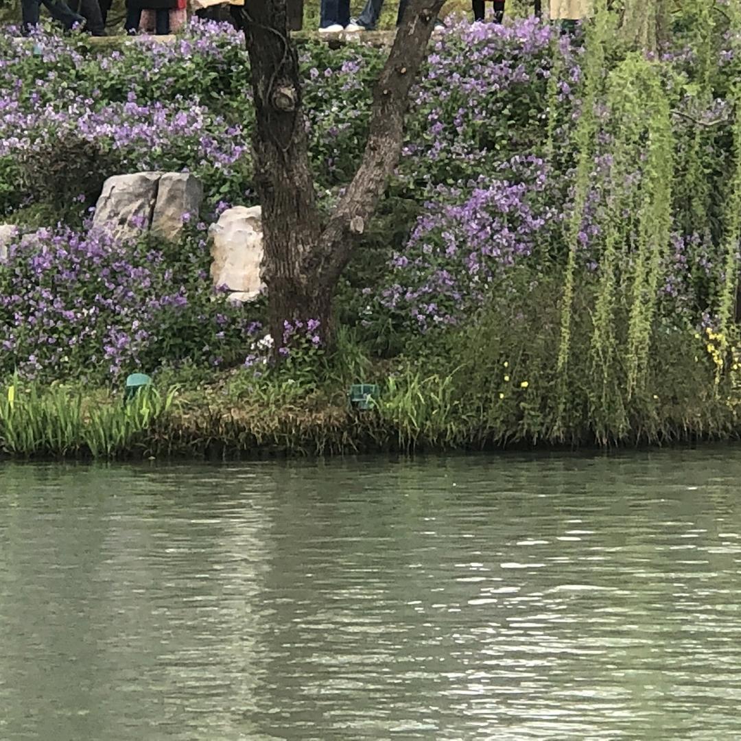 越过越好
