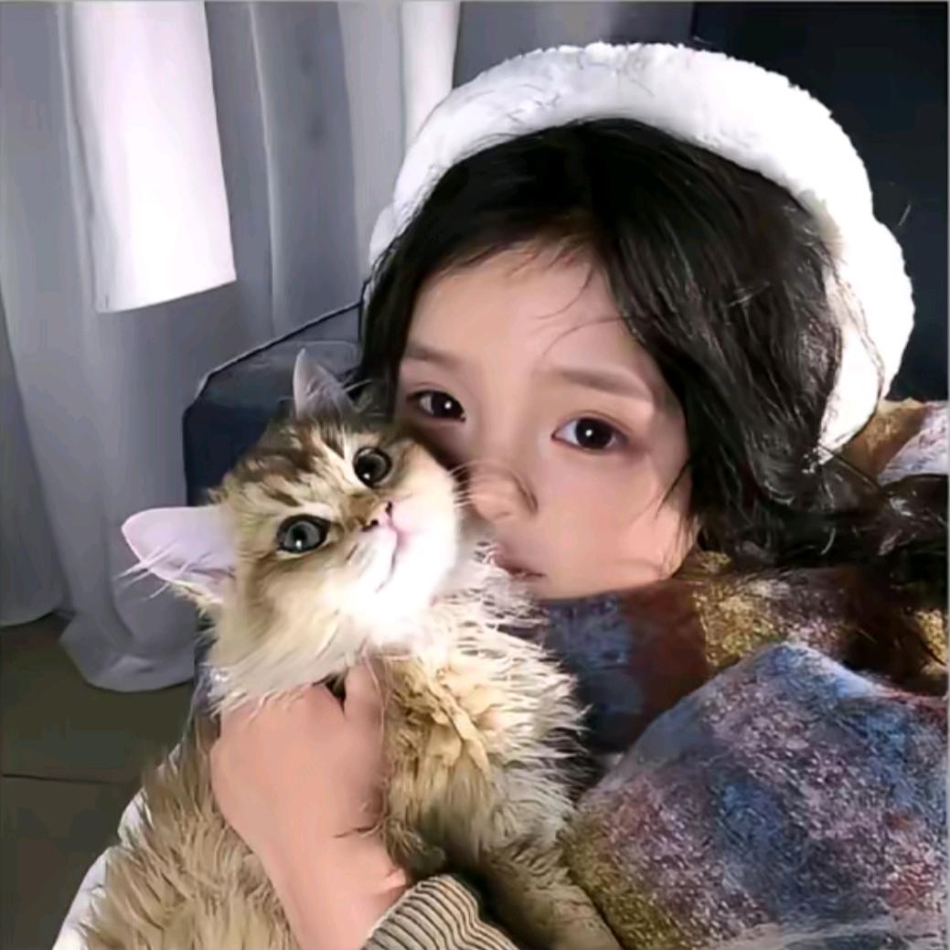 ᥫᩣ°