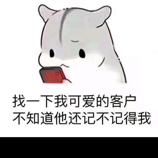庆功仲红梅