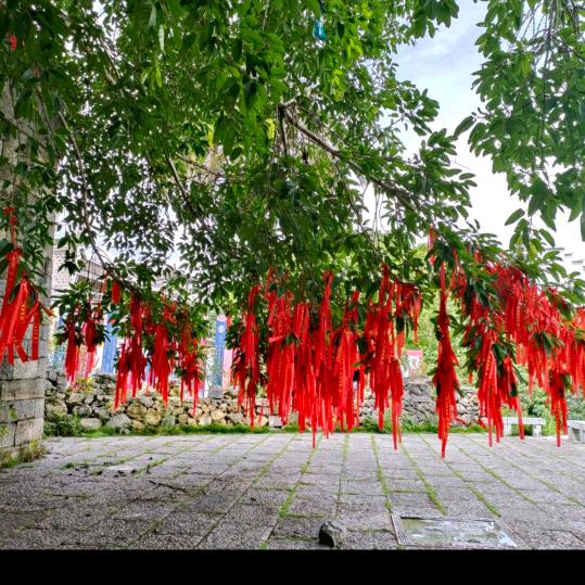 打了就跑🌹🌹🌹