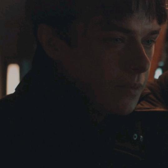 猫为什莫弈直响