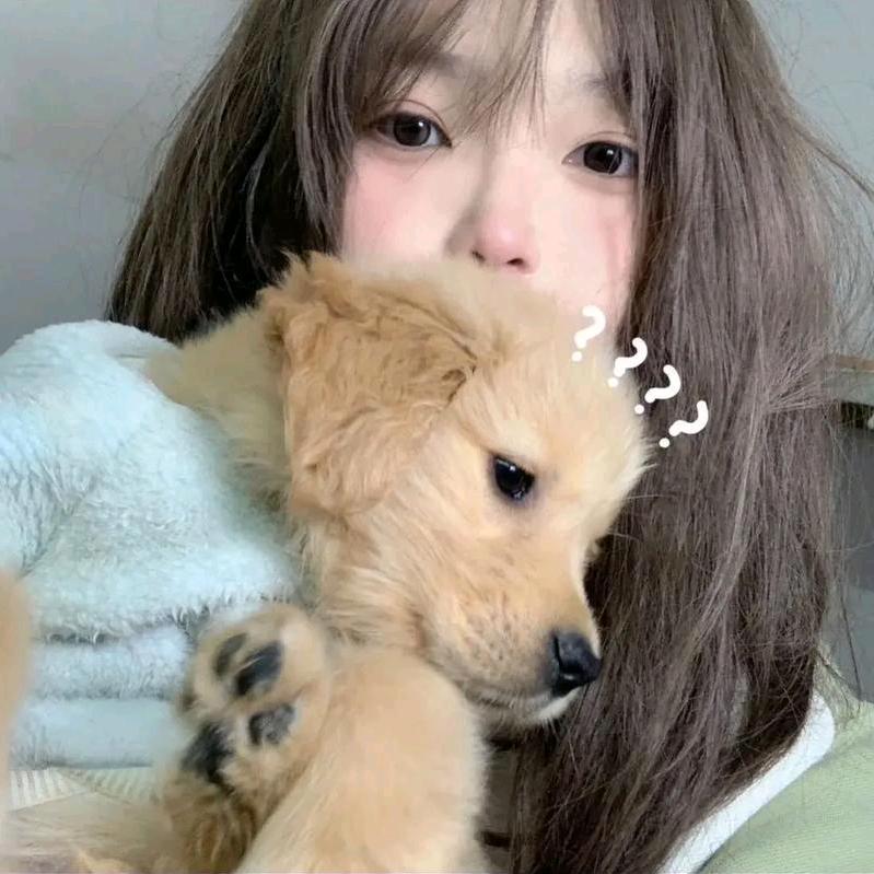 初见💕