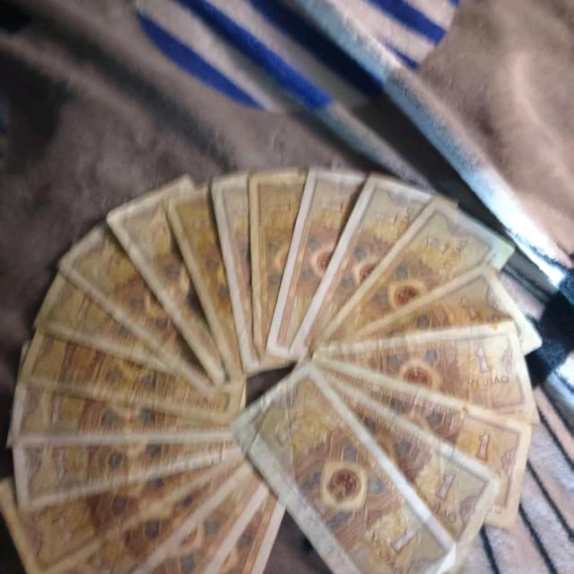 杨月学