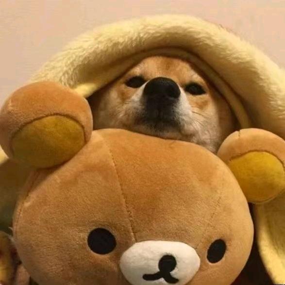 哈哈哈💤