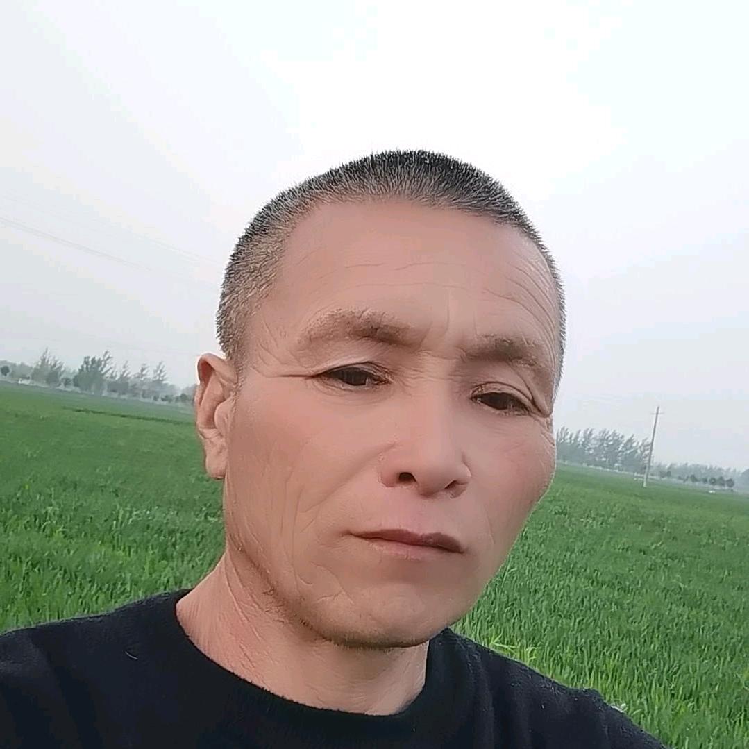 金猪，早上六点半开播