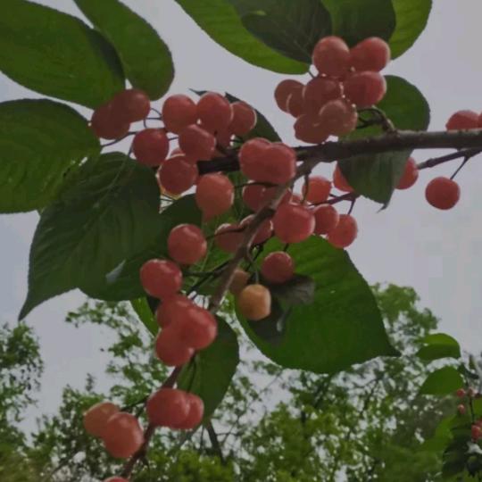随遇而安