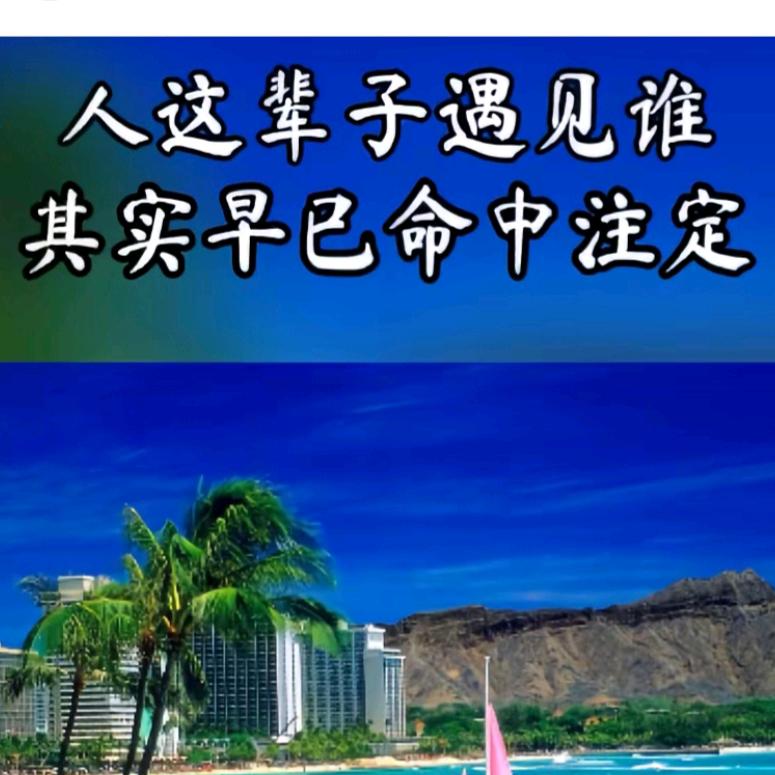 甘心情愿