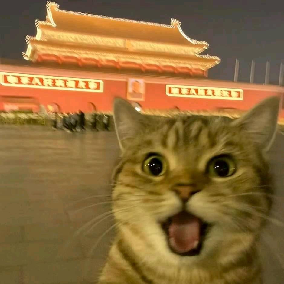 文案该死