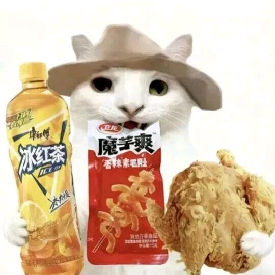 冷酷无情的哥布林族人（增肌版）