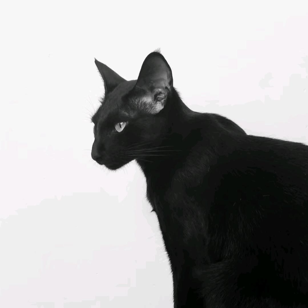 酸
