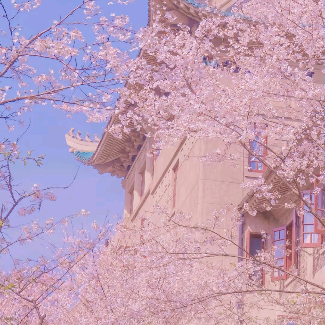 花城
