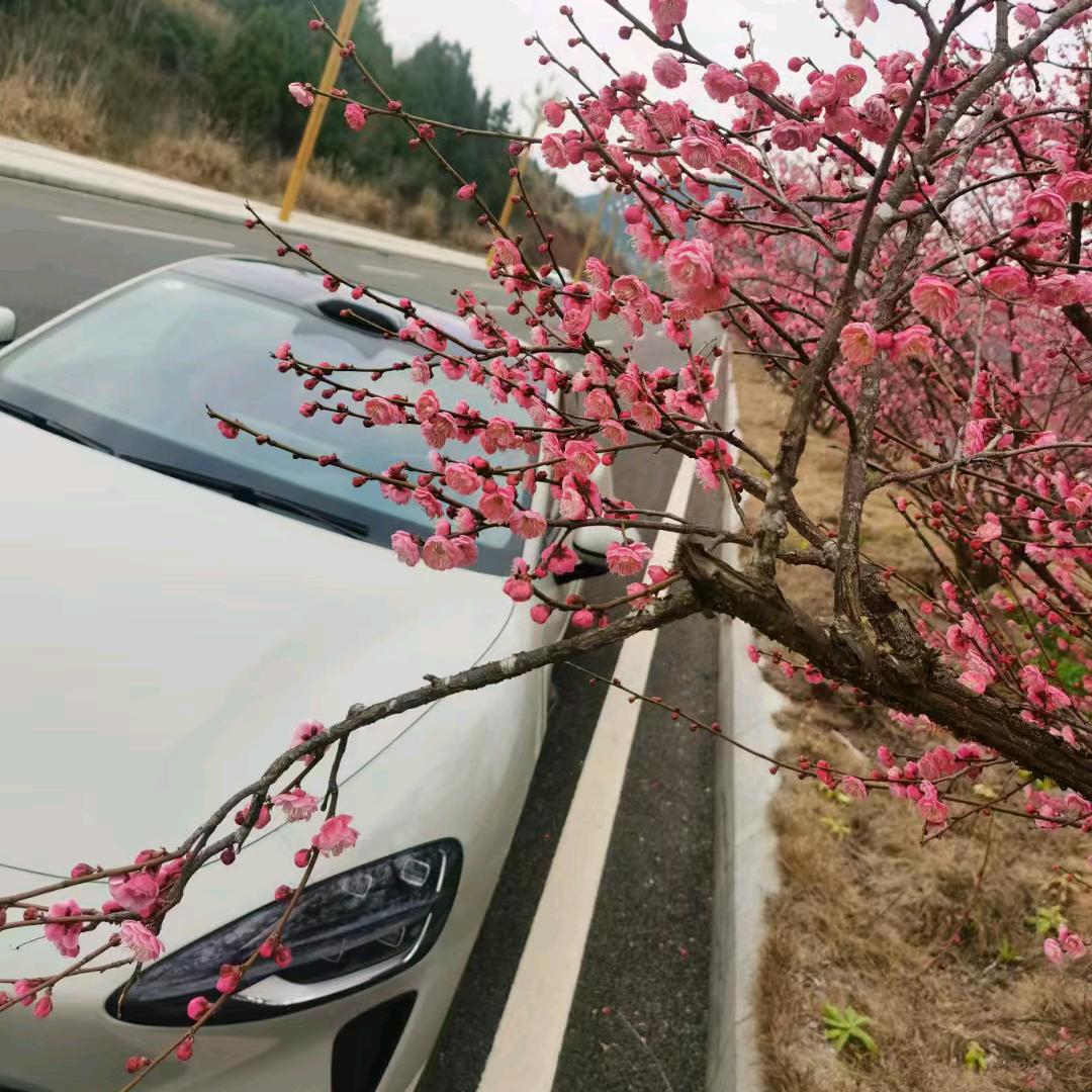 红   დ   豆