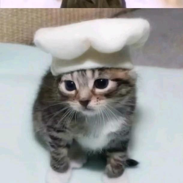 (ꐦÒ‸Ó)☜不语^O^