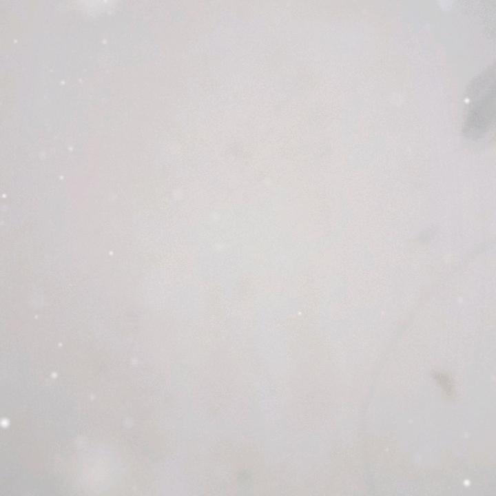 理想人生