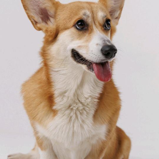 广州益安广告有限公司