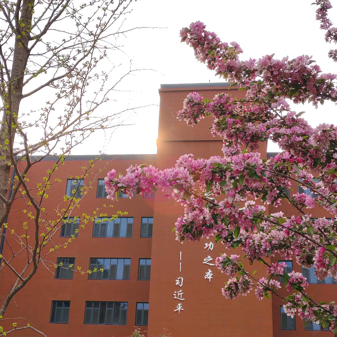 定兴实验   “宇”您有约