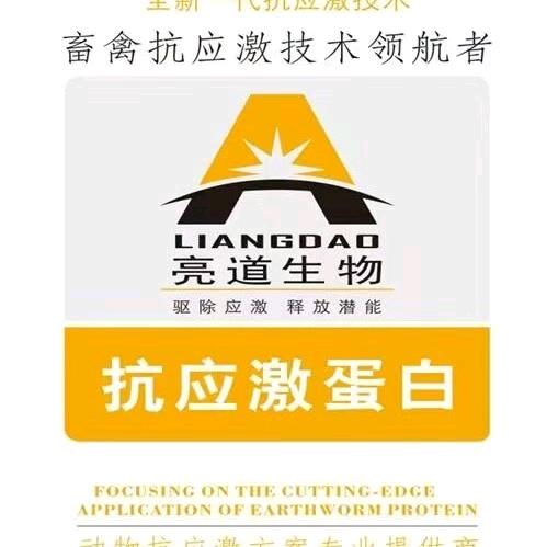 怕应激找亮道
