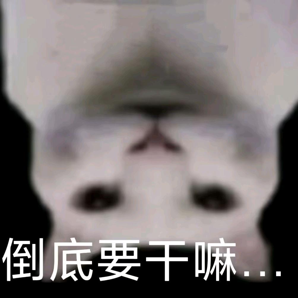 小北歌