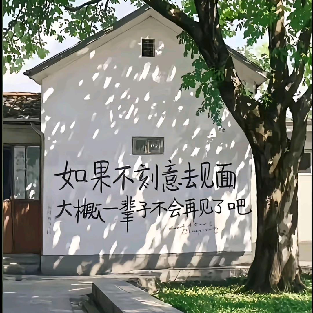 有来有回